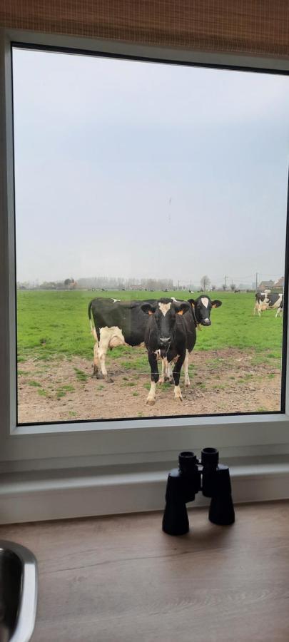 La Vache Au Lit Villa Damme Exterior photo